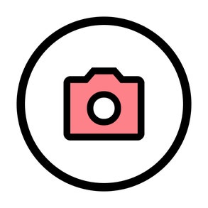 Snap icon