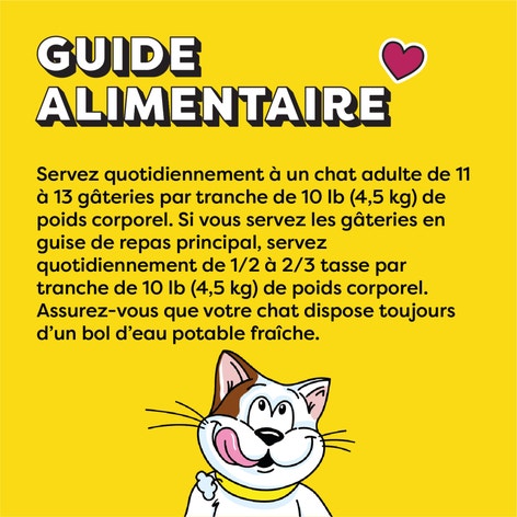 Gâteries pour chats TEMPTATIONS(MC) Saveur de saumon savoureux image 1