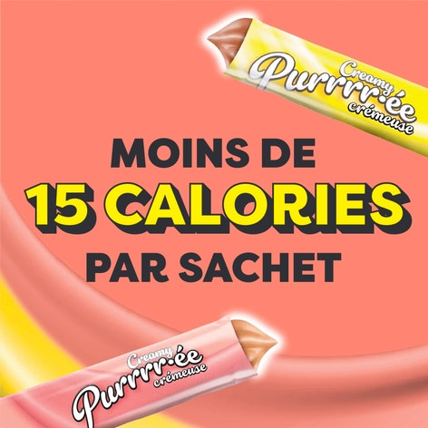 TEMPTATIONS(MC) PURRRR-ÉE CRÉMEUSE avec poulet et avec saumon image 1