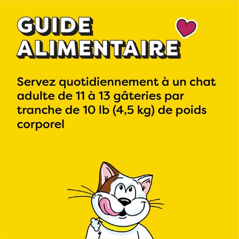 Gâteries pour chats TEMPTATIONS(MC) au naturel Arôme naturel de poulet fermier, 160g image 1