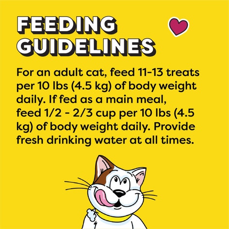 TEMPTATIONS™ Cat Treats, Tasty Chicken Flavour image 1