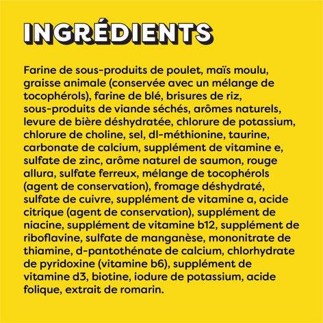 Gâteries pour chats TEMPTATIONS(MC) Saveur de saumon savoureux image 1