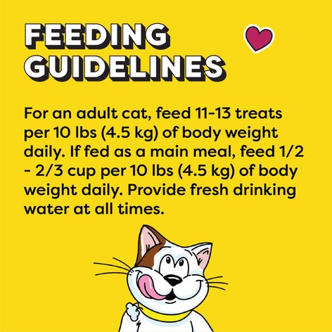 TEMPTATIONS™ Cat Treats, Tempting Tuna Flavour image 1