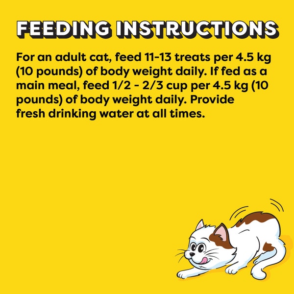 Temptations Wacky Blasts Cat Treats, Nautical 'Nip Flavour, 180g Pouch image 2