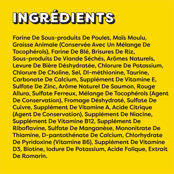 Gâteries pour chats TEMPTATIONS(MC) Saveur de saumon savoureux image 5