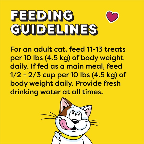 TEMPTATIONS™ Cat Treats, Hearty Beef Flavour image 3