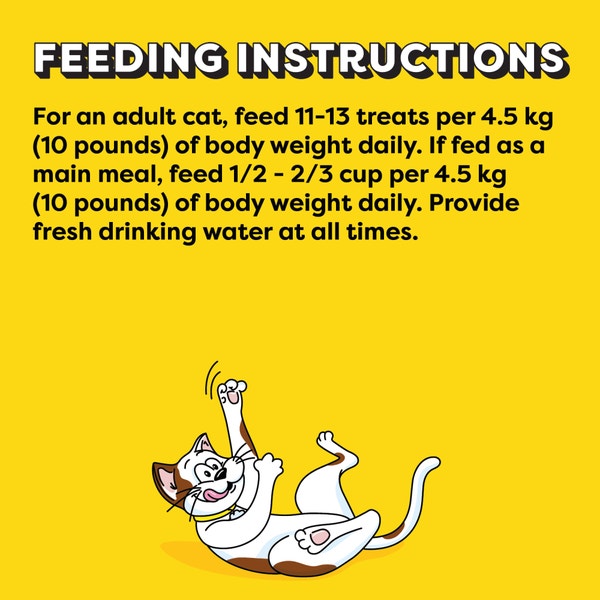 TEMPTATIONS Catmas Casserole Cat Treats, Catnip (Chicken, Catnip & Cheddar Flavour), 454g Tub image 2