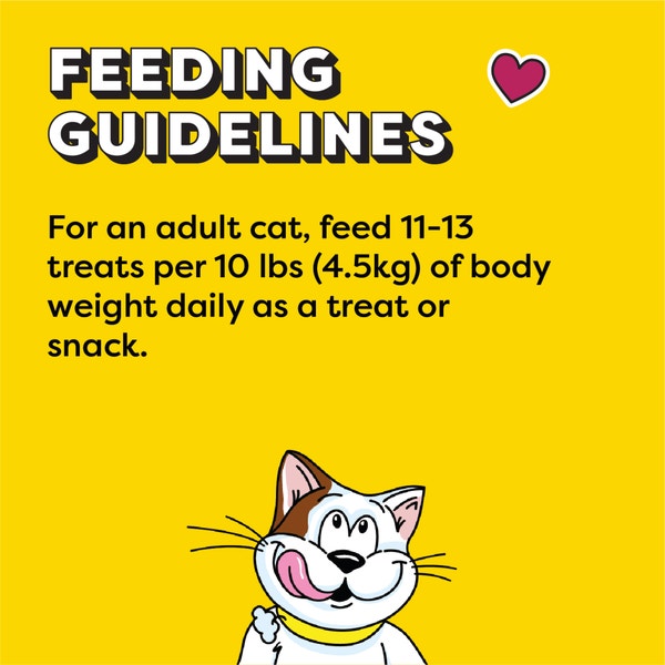 TEMPTATIONS™ Cat Treats, Mix-Ups Chicken, Catnip & Cheddar Flavour image 3