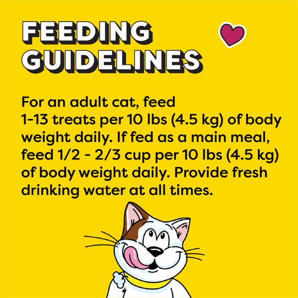 TEMPTATIONS™ Cat Treats, Savoury Salmon Flavour image 3